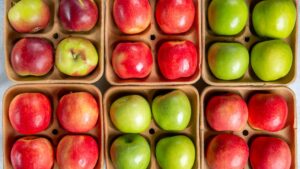 apples in a pulp tray